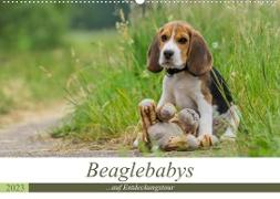 Beaglebabys auf Entdeckungstour (Wandkalender 2023 DIN A2 quer)