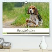 Beaglebabys auf Entdeckungstour (Premium, hochwertiger DIN A2 Wandkalender 2023, Kunstdruck in Hochglanz)
