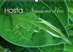 Hosta Staude mit Herz (Wandkalender 2023 DIN A3 quer)