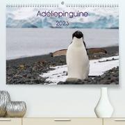 Adéliepinguine (Premium, hochwertiger DIN A2 Wandkalender 2023, Kunstdruck in Hochglanz)