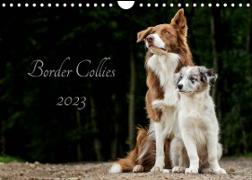 Border Collies 2023 (Wandkalender 2023 DIN A4 quer)