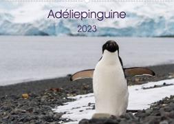 Adéliepinguine (Wandkalender 2023 DIN A2 quer)