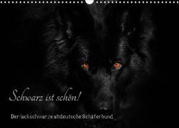 Schwarz ist schön! Der lackschwarze altdeutsche Schäferhund (Wandkalender 2023 DIN A3 quer)