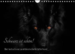Schwarz ist schön! Der lackschwarze altdeutsche Schäferhund (Wandkalender 2023 DIN A4 quer)