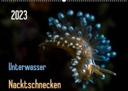 Unterwasser - Nacktschnecken 2023 (Wandkalender 2023 DIN A2 quer)