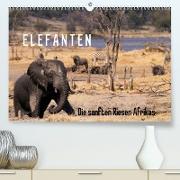 Elefanten - Die sanften Riesen Afrikas (Premium, hochwertiger DIN A2 Wandkalender 2023, Kunstdruck in Hochglanz)