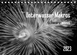 Unterwasser Makros - schwarz weiss 2023 (Tischkalender 2023 DIN A5 quer)