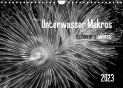 Unterwasser Makros - schwarz weiss 2023 (Wandkalender 2023 DIN A4 quer)