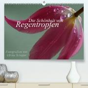 Die Schönheit von Regentropfen (Premium, hochwertiger DIN A2 Wandkalender 2023, Kunstdruck in Hochglanz)