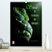 Schlangen im Lichtfenster des Dschungels (Premium, hochwertiger DIN A2 Wandkalender 2023, Kunstdruck in Hochglanz)