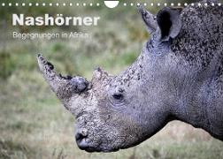 Nashörner - Begegnungen in Afrika (Wandkalender 2023 DIN A4 quer)