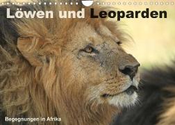 Löwen und Leoparden - Begegnungen in Afrika (Wandkalender 2023 DIN A4 quer)