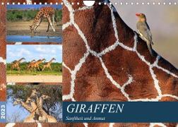 Giraffen - Sanftheit und Anmut (Wandkalender 2023 DIN A4 quer)