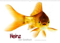 Heinz ¿ Der Goldfisch (Wandkalender 2023 DIN A3 quer)