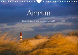 Amrum - Eine farbenfrohe Insellandschaft (Wandkalender 2023 DIN A4 quer)