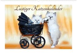 Lustiger Katzenkalender (Wandkalender 2023 DIN A2 quer)
