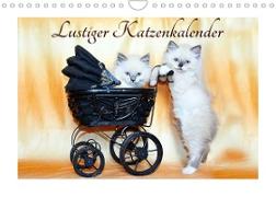 Lustiger Katzenkalender (Wandkalender 2023 DIN A4 quer)