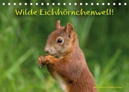Wilde Eichhörnchenwelt! (Tischkalender 2023 DIN A5 quer)