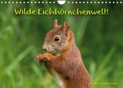 Wilde Eichhörnchenwelt! (Wandkalender 2023 DIN A4 quer)