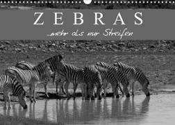 Zebras - Mehr als nur Streifen (Wandkalender 2023 DIN A3 quer)