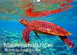 Meeresschildkröten - Bedrohte Schönheiten (Wandkalender 2023 DIN A3 quer)