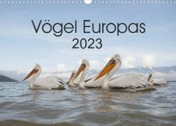 Vögel Europas 2023 (Wandkalender 2023 DIN A3 quer)