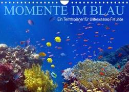 Momente im Blau - Ein Terminplaner für Unterwasser-Freunde (Wandkalender 2023 DIN A4 quer)
