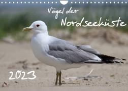 Vögel der Nordseeküste (Wandkalender 2023 DIN A4 quer)