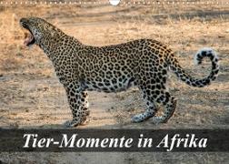Tier-Momente in Afrika (Wandkalender 2023 DIN A3 quer)
