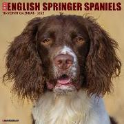 Just English Springer Spaniels 2023 Wall Calendar