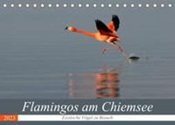 Flamingos am Chiemsee (Tischkalender 2023 DIN A5 quer)