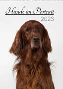 Hunde im Portrait (Wandkalender 2023 DIN A2 hoch)