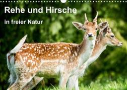 Rehe und Hirsche in freier Natur (Wandkalender 2023 DIN A3 quer)
