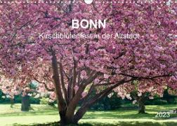 Bonn - Kirschblütenfest in der Altstadt (Wandkalender 2023 DIN A3 quer)