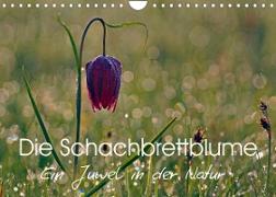 Die Schachbrettblume (Wandkalender 2023 DIN A4 quer)