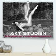 Akt Studien (Premium, hochwertiger DIN A2 Wandkalender 2023, Kunstdruck in Hochglanz)
