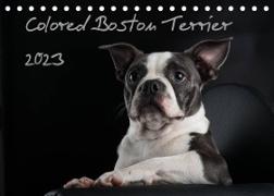 Colored Boston Terrier 2023 (Tischkalender 2023 DIN A5 quer)