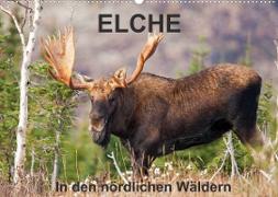 ELCHE In den nördlichen Wäldern (Wandkalender 2023 DIN A2 quer)