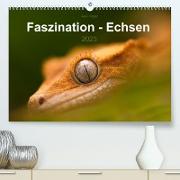 Faszination - Echsen (Premium, hochwertiger DIN A2 Wandkalender 2023, Kunstdruck in Hochglanz)