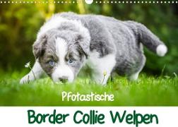 Pfotastische Border Collie Welpen (Wandkalender 2023 DIN A3 quer)