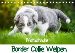 Pfotastische Border Collie Welpen (Tischkalender 2023 DIN A5 quer)