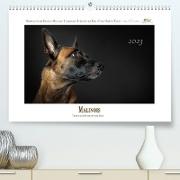 Malinois - Triebstarke Hunde mit viel Herz (Premium, hochwertiger DIN A2 Wandkalender 2023, Kunstdruck in Hochglanz)