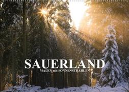 Sauerland - Malen mit Sonnenstrahlen (Wandkalender 2023 DIN A2 quer)