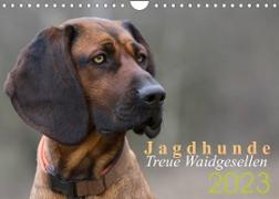 Jagdhunde - Treue Waidgesellen (Wandkalender 2023 DIN A4 quer)