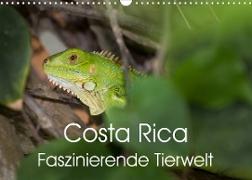 Costa Rica. Faszinierende Tierwelt (Wandkalender 2023 DIN A3 quer)