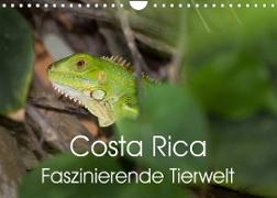 Costa Rica. Faszinierende Tierwelt (Wandkalender 2023 DIN A4 quer)