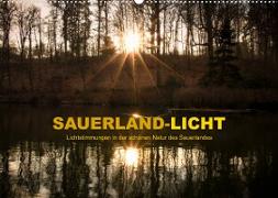 Sauerland-Licht - Lichtstimmungen in der schönen Natur des Sauerlandes (Wandkalender 2023 DIN A2 quer)