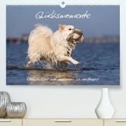 Glücksmomente - Unterwegs mit meinem Islandhund (Premium, hochwertiger DIN A2 Wandkalender 2023, Kunstdruck in Hochglanz)