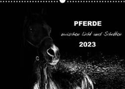 Pferde zwischen Licht und Schatten (Wandkalender 2023 DIN A3 quer)