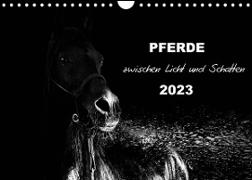 Pferde zwischen Licht und Schatten (Wandkalender 2023 DIN A4 quer)